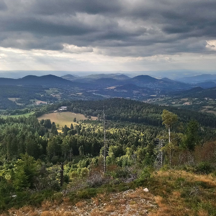 Forêt gérée durablement en Haute-Loire (43) — parcelles boisées et clairières