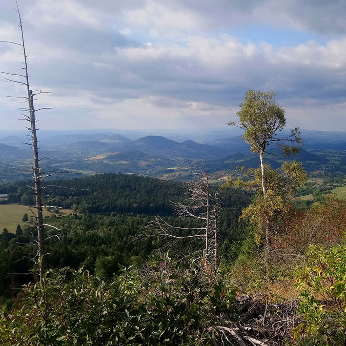 Paysage forestier de Haute-Loire (43) — sucs boisés et vallées du Velay