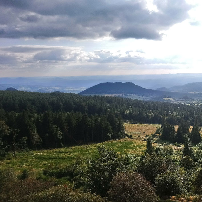 Panorama sur les forêts d'Auvergne et de Haute-Loire depuis les hauteurs du Velay
