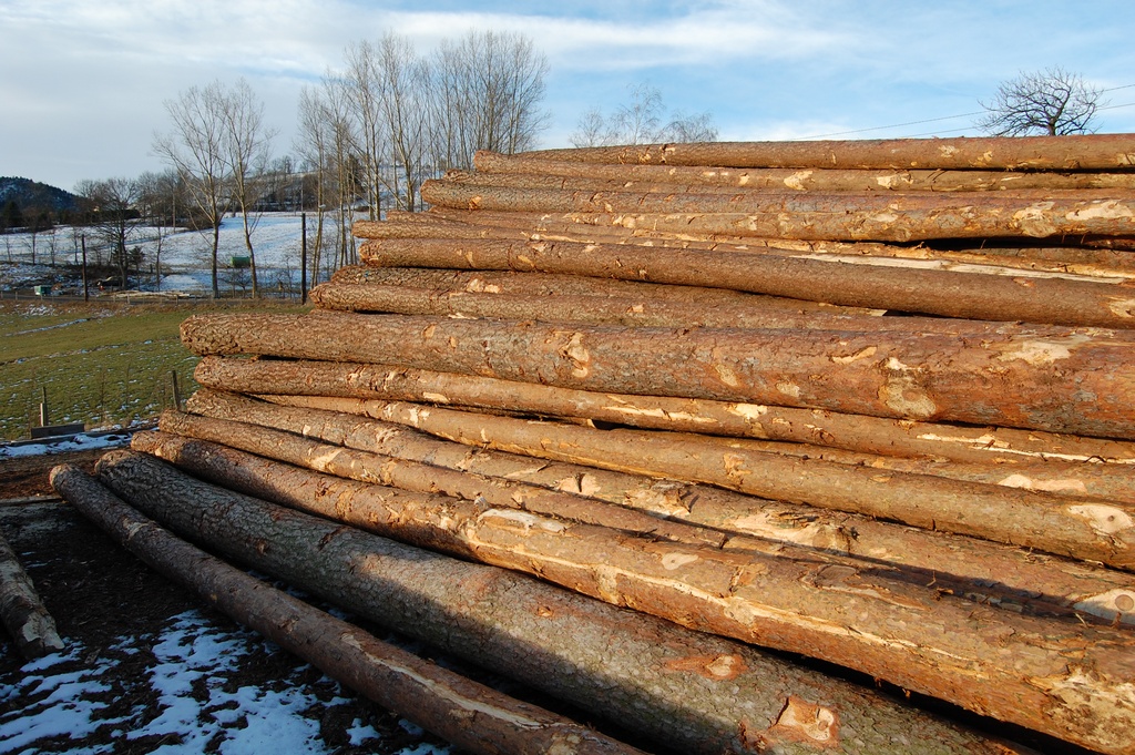 Scierie en Haute-Loire (43) — stock de grumes de sapin sous la neige